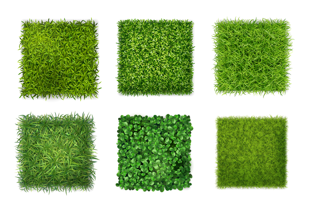 Ground cover plants background texture 6 realistic square icons set with green grass clover leaves vector illustration. Green Grass Realistic Set