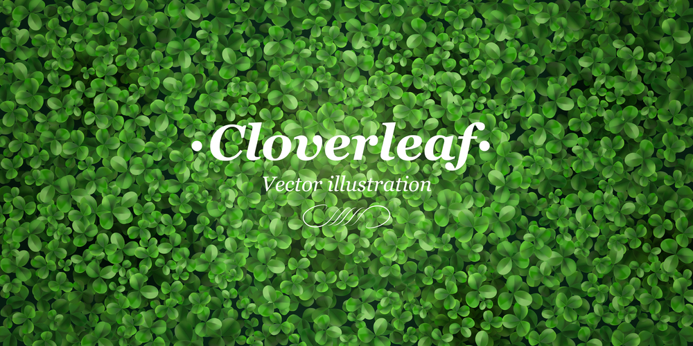Green ground cover plants grass background title header poster with clover leaves realistic top view vector illustration. Green Clover Realistic Background