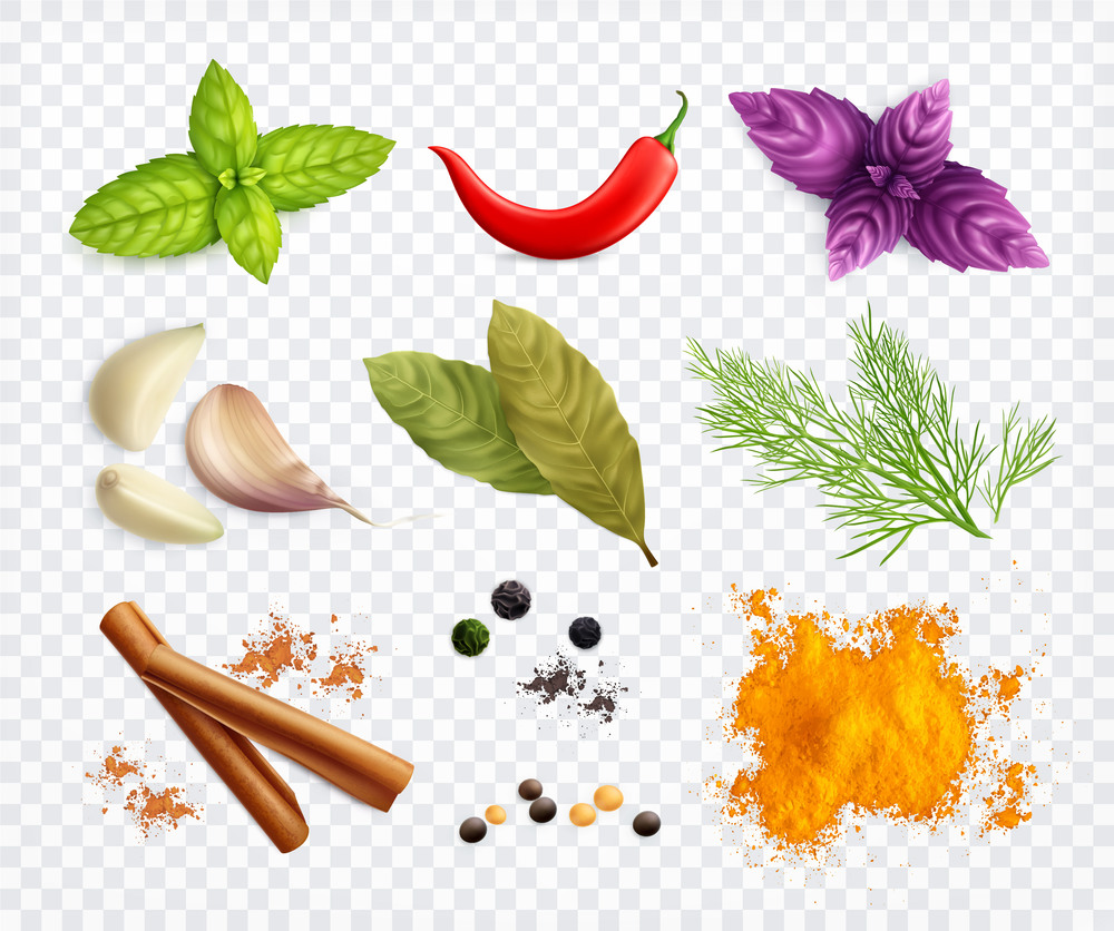 Spices and herbs transparent set of chili pepper garlic cloves aromatic culinary powder realistic vector illustration. Spices And Herbs Transparent Set
