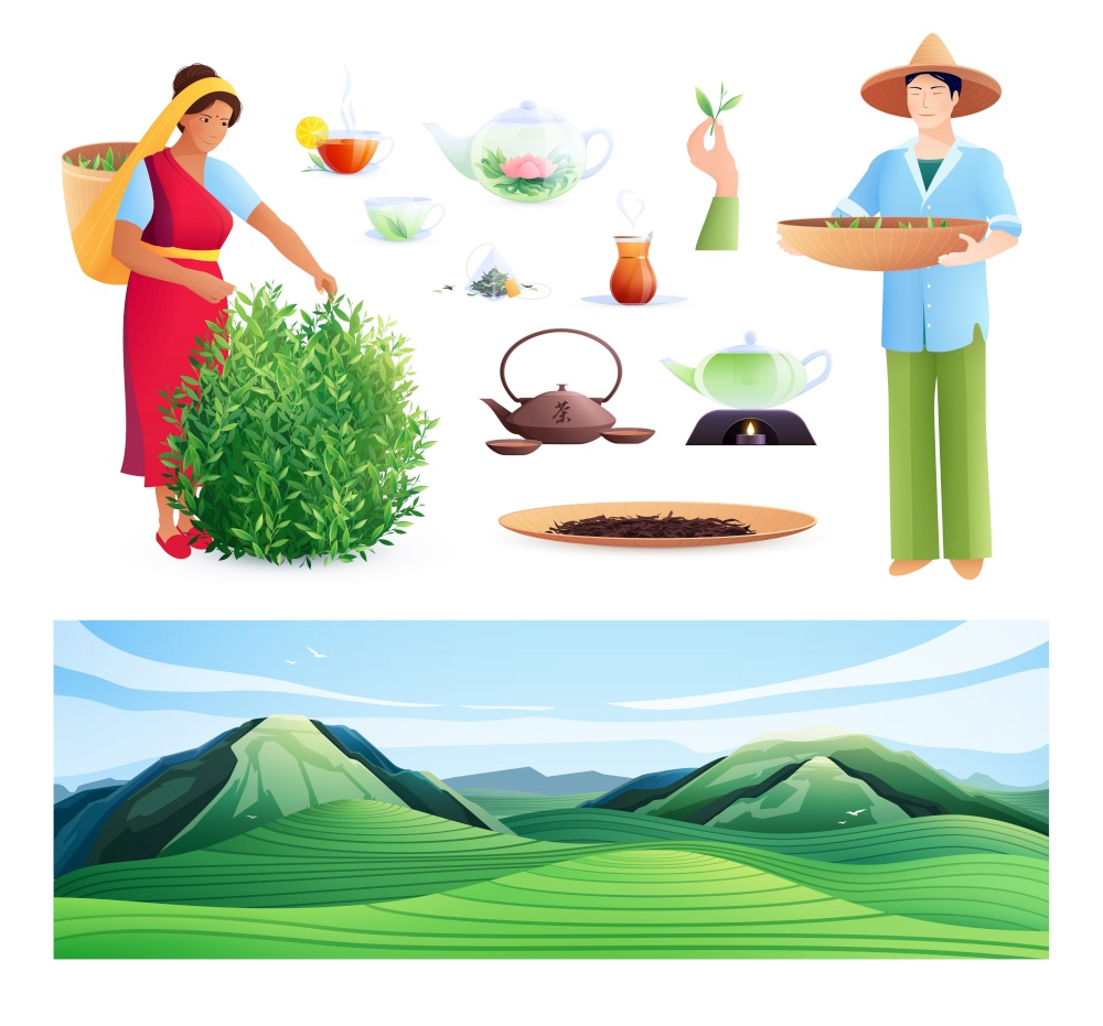 Natural tea production flat set of indian woman and chinese man busy harvesting vector illustration. Natural Tea Production Flat Set