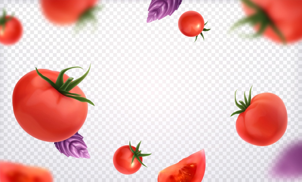 Fresh red whole and slice tomatoes with green twig and violet basil leaves on transparent background realistic vector illustration. Tomato Transparent Background