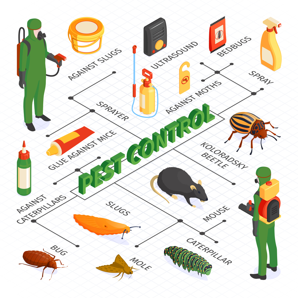 Isometric pest control flowchart composition with desinsection products sprays and glues with disinfectors vermins and text vector illustration. Isometric Pest Control Flowchart