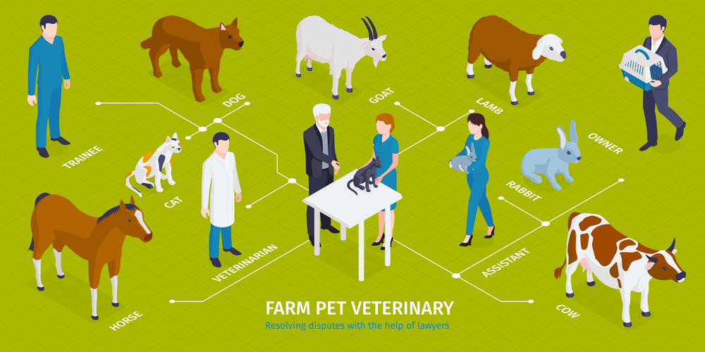 Isometric veterinary infographics with editable text captions characters of medical workers with masters pets and animals vector illustration. Farm Pets Veterinary Infographics