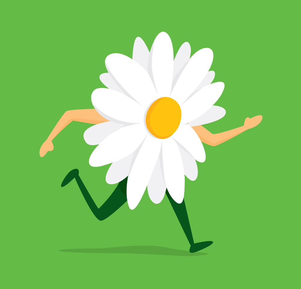 Cartoon illustration of daisy flower on the run