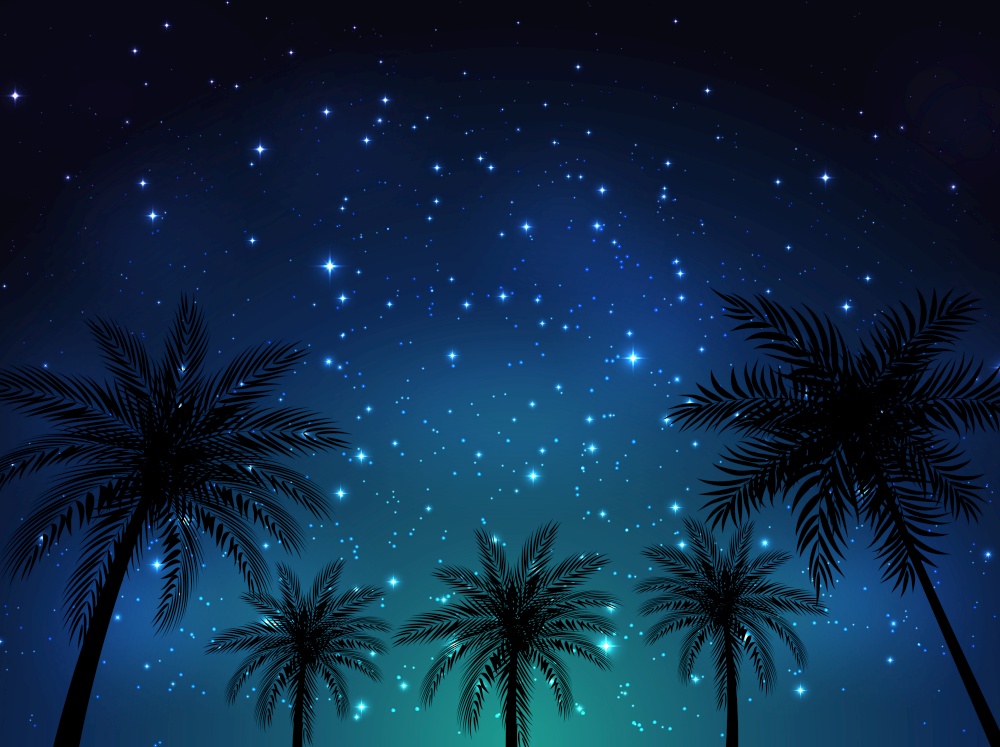 Night shining starry sky background with Palm Leaves. Vector Illustration EPS10. Night shining starry sky background with Palm Leaves. Vector Illustration