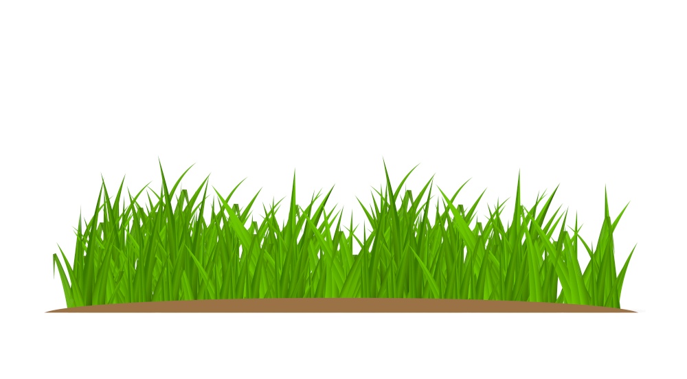Grass and border, greeting card decoration element isolated on White Background. Vector Illustration. EPS10. Grass and border, greeting card decoration element isolated on White Background. Vector Illustration