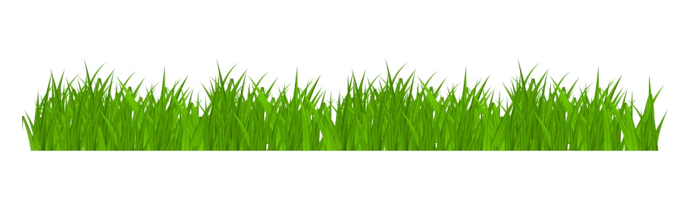 Grass and border, greeting card decoration element isolated on White Background. Vector Illustration. EPS10. Grass and border, greeting card decoration element isolated on White Background. Vector Illustration