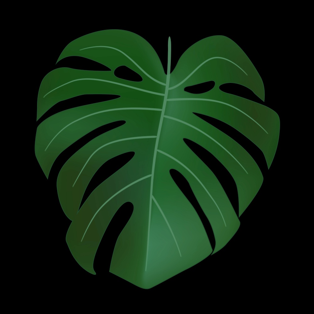 Natural Realistic Green Monstera Leaf Tropical Icon. Vector illustration. Natural Realistic Green Monstera Leaf Tropical Icon. Vector illustration EPS10