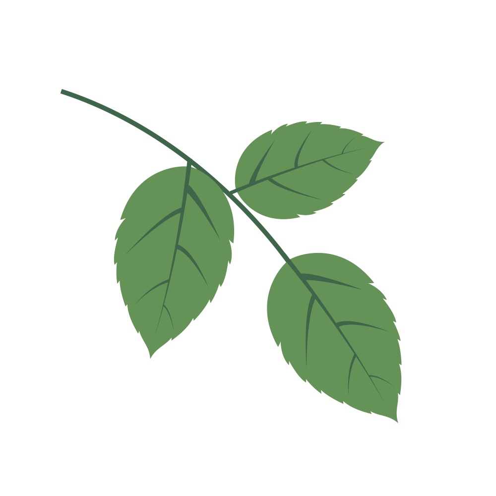 Simple Leaves Icon Vector Illustration. Simple Leaves Icon Vector Illustration on white background EPS10