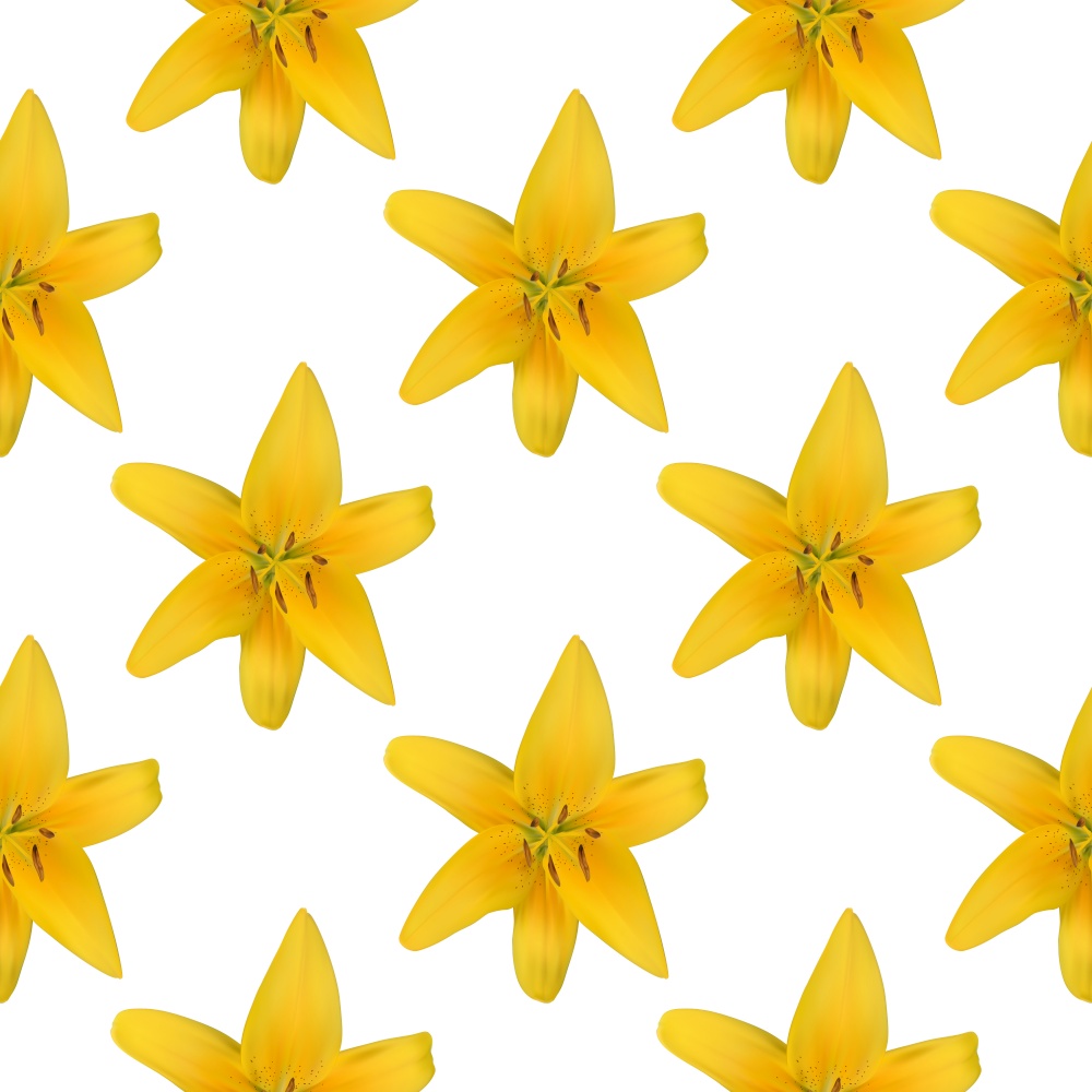 Colorful background pattern of yellow naturalistic lily flower on white. Vector Illustration. EPS10. Colorful background pattern of yellow naturalistic lily flower on white. Vector Illustration