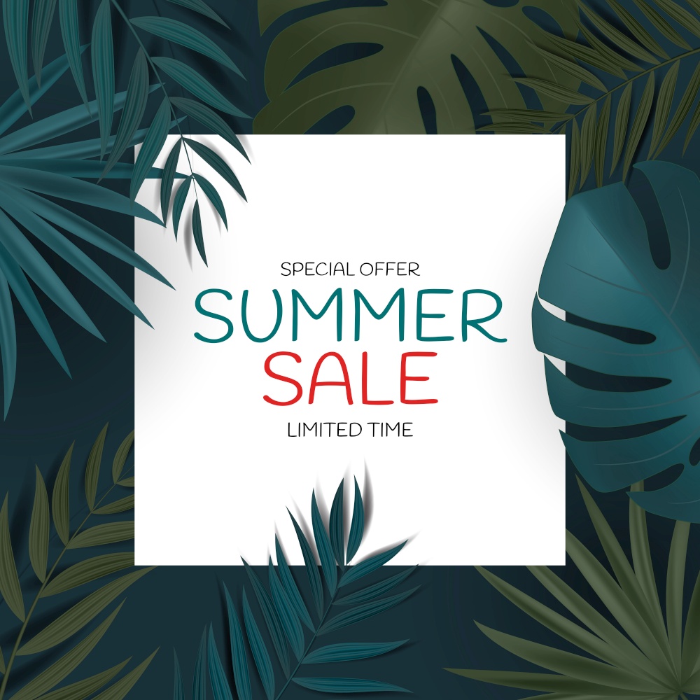 Abstract Natural Summer Sale Background with Tropical Palm and Monstera Leaves. Vector Illustration EPS10. Abstract Natural Summer Sale Background with Tropical Palm and Monstera Leaves. Vector Illustration