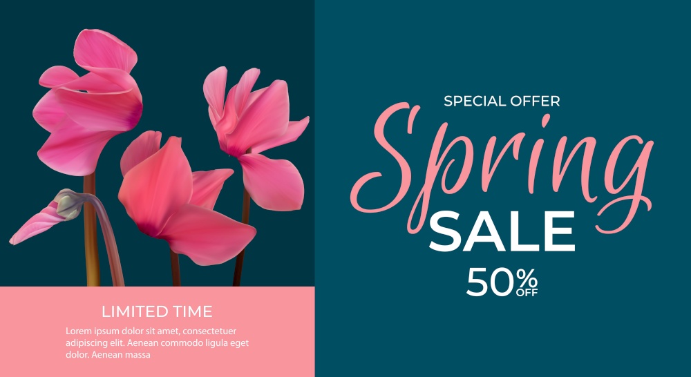 Spring Special Offer Sale Background Poster Natural Cyclamen Flowers and Leaves Template. Vector Illustration EPS10. Spring Special Offer Sale Background Poster Natural Cyclamen Flowers and Leaves Template. Vector Illustration