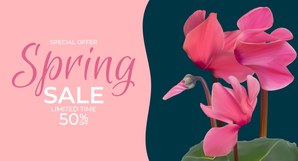 Spring Special Offer Sale Pink Background Poster Natural Cyclamen Flowers and Leaves Template. Vector Illustration EPS10. Spring Special Offer Sale Pink Background Poster Natural Cyclamen Flowers and Leaves Template. Vector Illustration