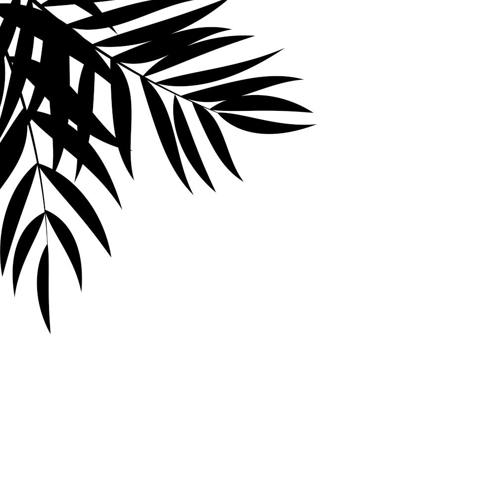 Abstract Natural Background with Tropical Palm Leaves. Vector Illustration EPS10. Abstract Natural Background with Tropical Palm Leaves. Vector Illustration