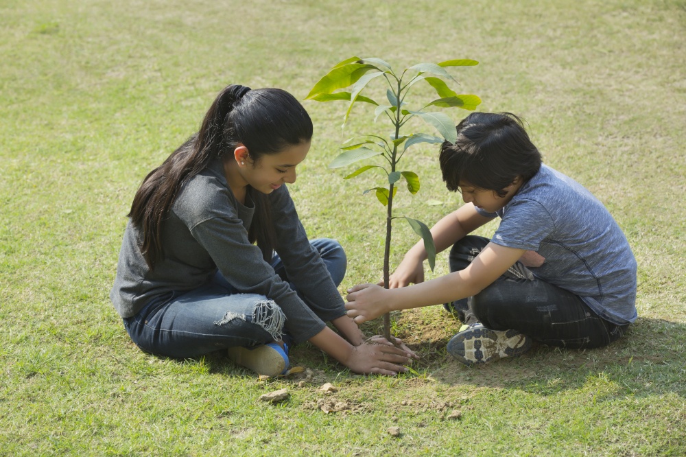Young boy and girl planting a small plant in garden sitting on the ground.