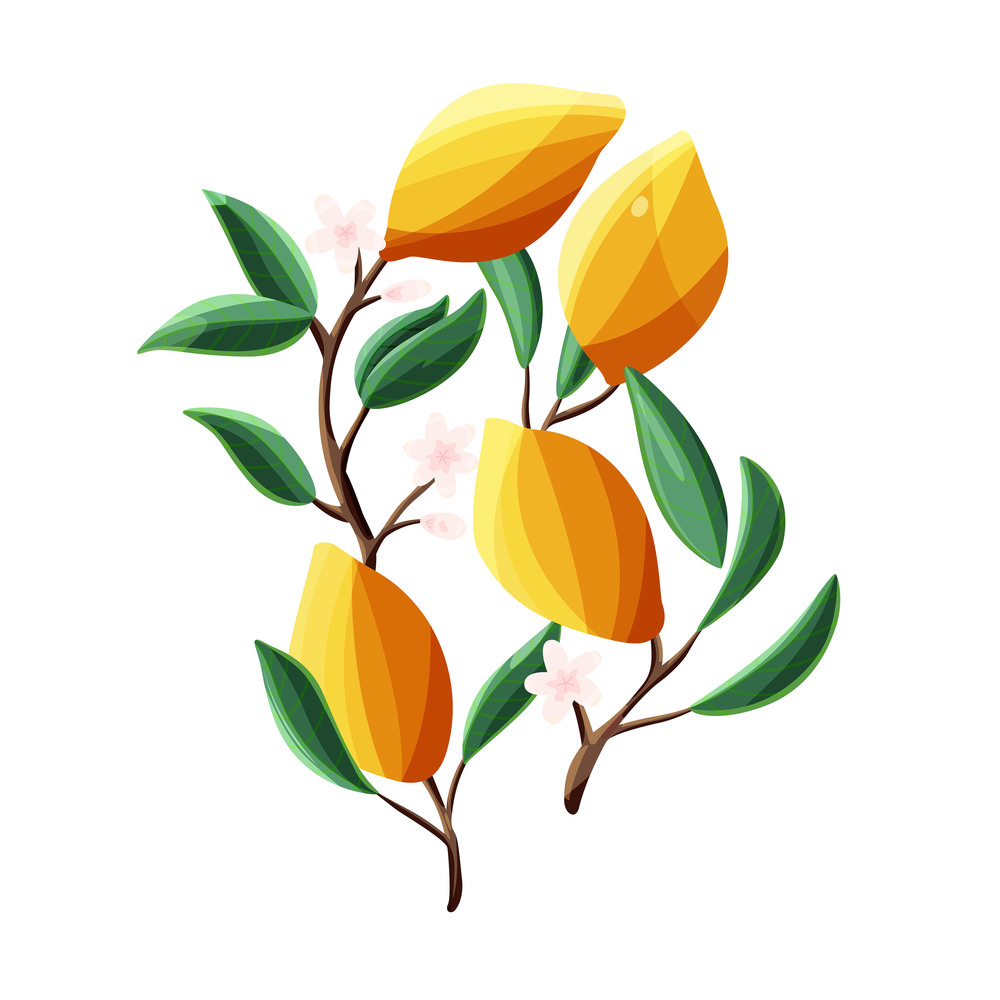Lemons on tree branches. Isolated tropical summer fruit, on white, abstract colorful hand drawn vector illustration.