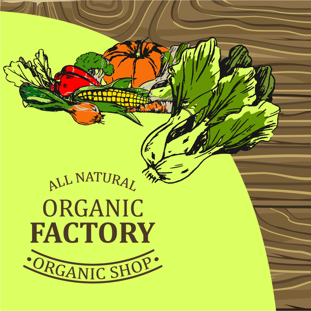 Organic factory shop poster with Chinese cabbage, ripe pumpkin, corn cobs, sweet pepper, healthy carrot, fresh onion and greens vector illustration.. Organic Factory Shop with Only Natural Products