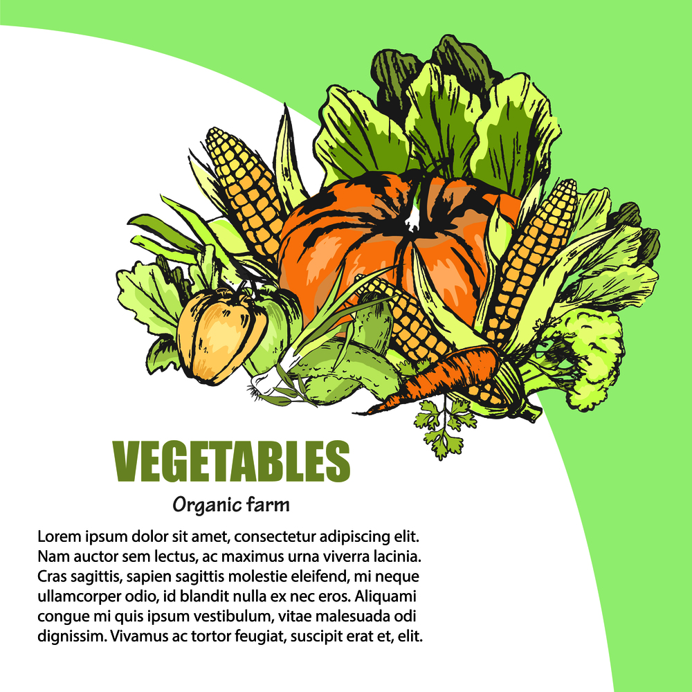 Fresh vegetables assortment with text information nearby. Vector colorful poster in graphic design of organic and healthy farm products. Fresh Vegetable Assortment with Text Information