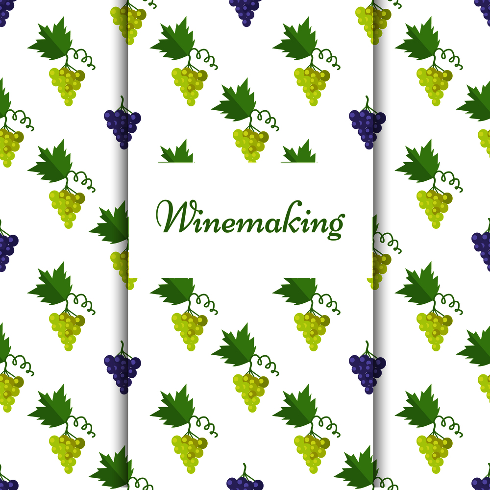 Winemaking poster with isolated grapes of purple and blue color, seamless pattern with grapes bunches and leaves around vector illustration.. Winemaking Poster with Isolated Grapes Vector