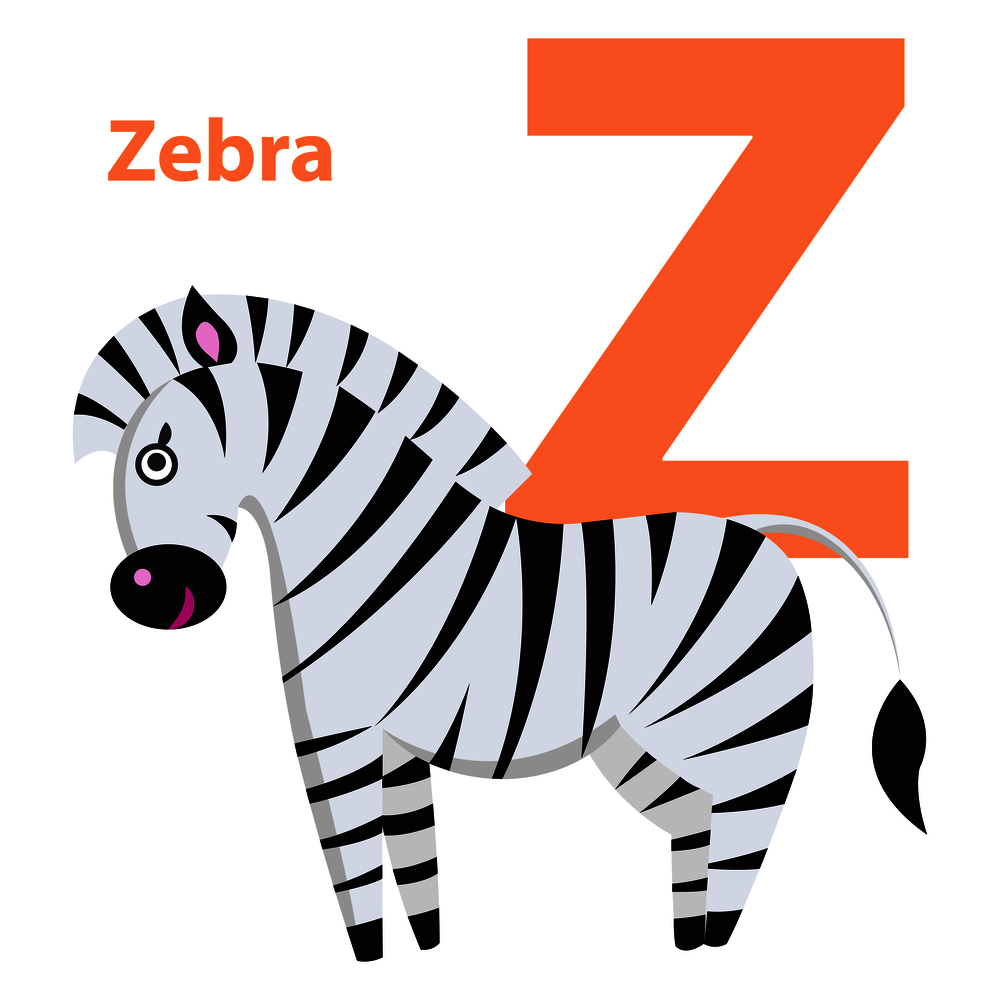 Orange letter Z with word zebra on alphabet card. Black and white striped horse isolated on white background. Cheerful kids ABC, primary education. Vector illustration of cartoon drawing for babies.. Orange Character Z Word Zebra on Alphabet Card