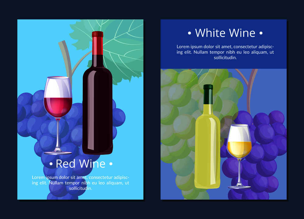 White wine poster with text sample in form of explanation and pictures of bottle and glass, grapes on background on vector illustration. White Wine Poster with Text on Vector Illustration