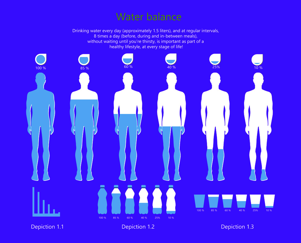 Water balance in human body, infographic with given information about this issue, icon of people and plastic bottles vector illustration. Water Balance in Human Body Vector Illustration