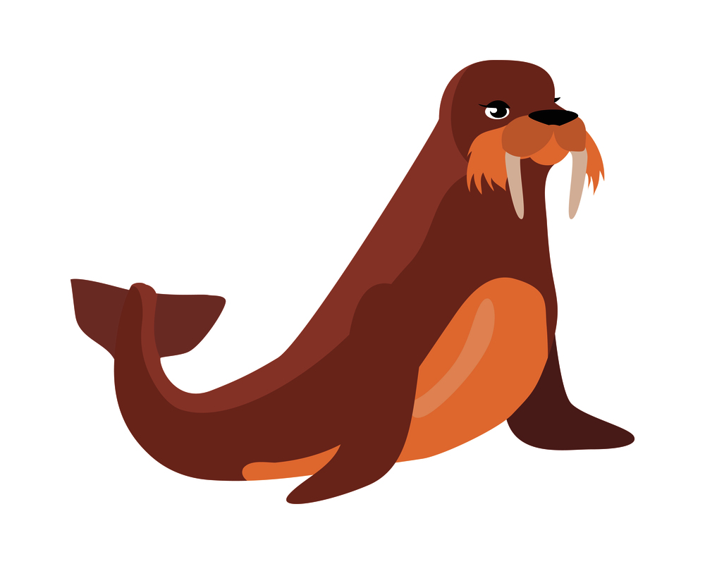 Walrus cartoon character. Cute walrus flat vector isolated on white background. Arctic fauna species. Walrus icon. Animal illustration for zoo ad, nature concept, children book illustrating