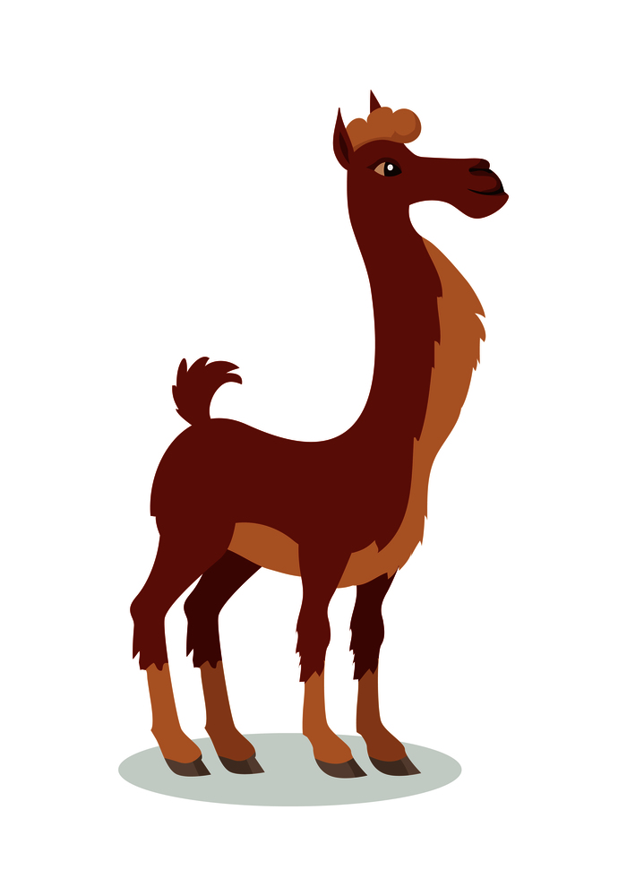 Llama cartoon character. Cute brown llama flat vector isolated on white. South America fauna. Llama icon. Wild and domestic animal illustration for zoo ad, nature concept, children book illustrating