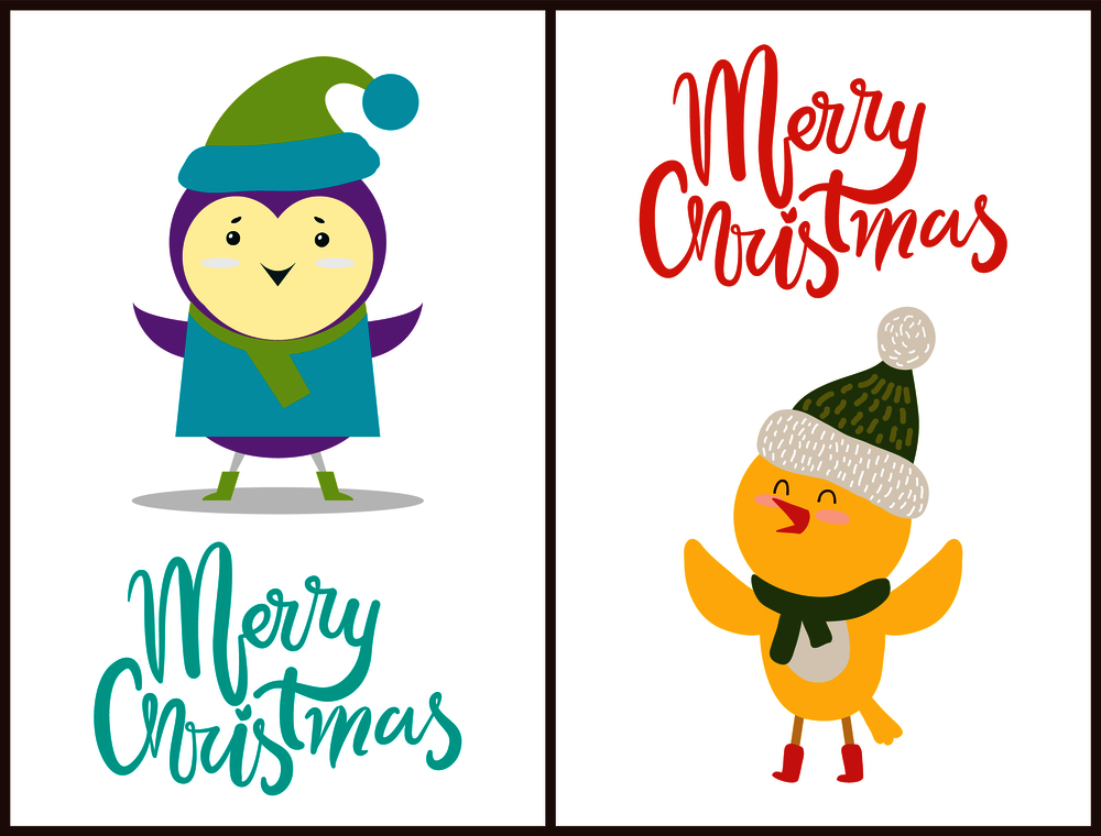 Merry Christmas banners congratulation from birds dressed in funny knitted clothes. Vector illustration with penguin in coat and chicken in scarf and hat. Merry Christmas Banners Congratulation from Birds