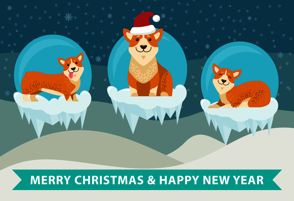 Merry Christmas and happy New Year poster with cute puppies on icy cliffs, three corgi dogs on snowy cliffs vector illustration winter landscape. Merry Christmas and Happy New Year Poster