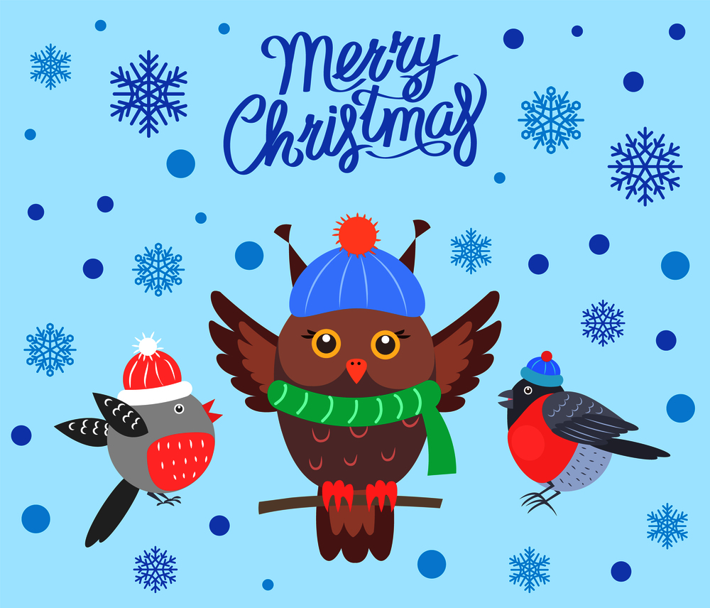 Merry Christmas poster with birds, banner greeting sample, owl wearing scarf sitting on branch and bullfinches in hats vector illustration. Merry Christmas with Birds Vector Illustration