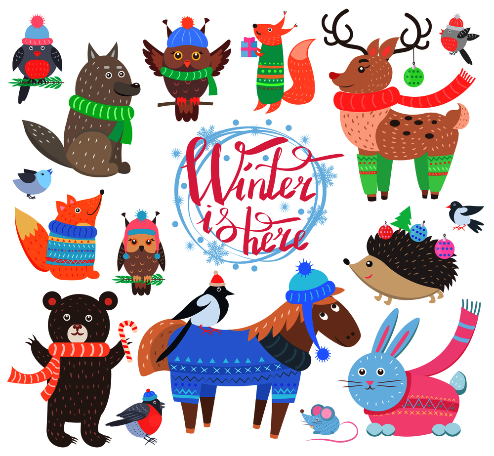 Winter is here poster with animals, icons of bullfinch, fox and wolf, owl and bird, horse and reindeer, rabbit and hedgehog vector illustration. Winter is Here Poster Animals Vector Illustration