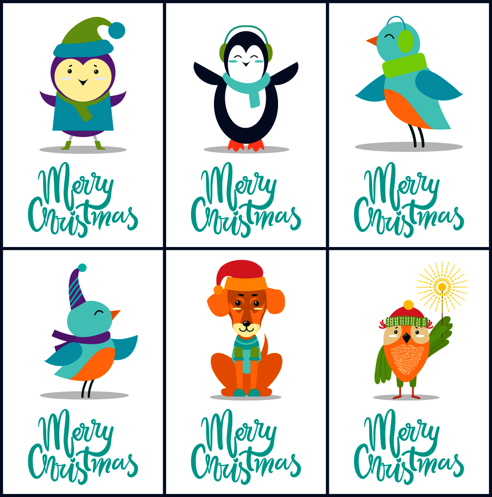 Merry Christmas, images collection of birds in warm clothes, penguin with scarf, dog with hat, owl with Bengal light isolated on vector illustration. Merry Christmas Images on Vector Illustration