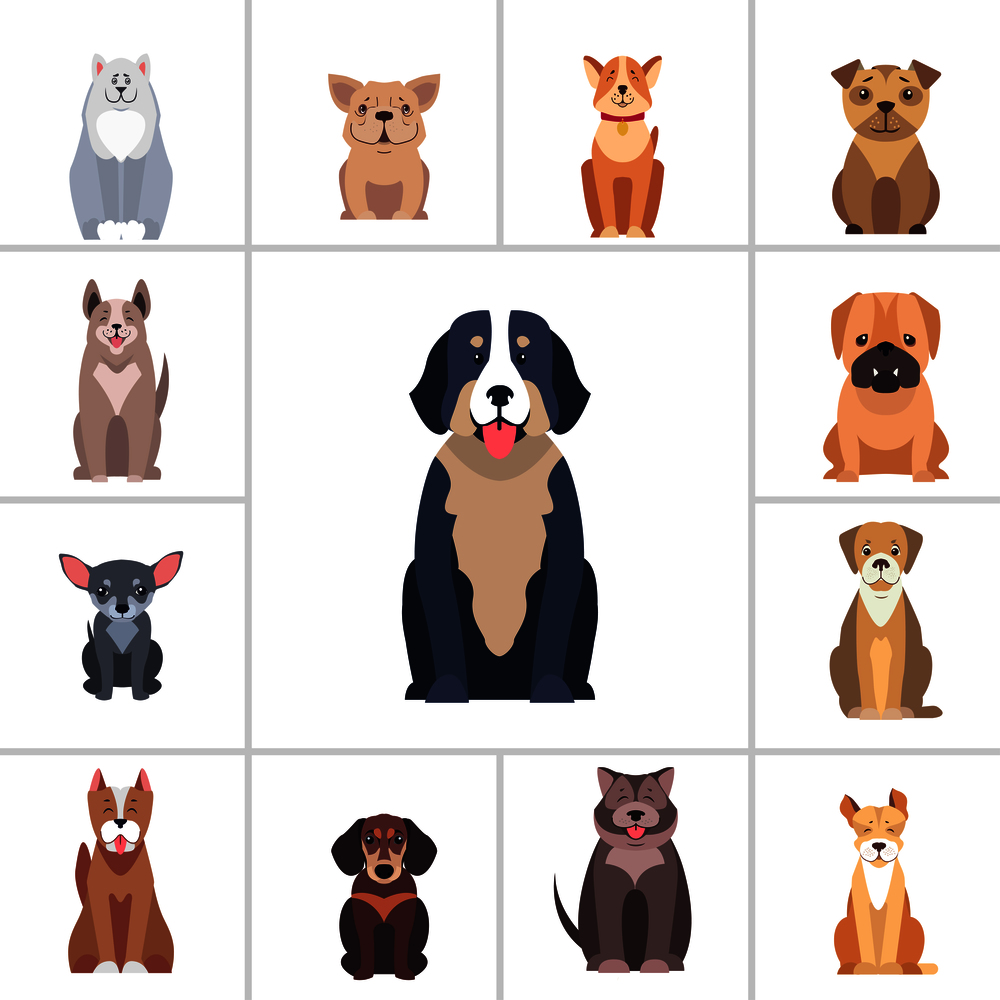 Set of happy doggies portraits, pets are sitting with smiling muzzle and hanging out tongue flat vector illustration isolated on white.. Cute Purebred Dogs Cartoon Flat Vectors Icons Set