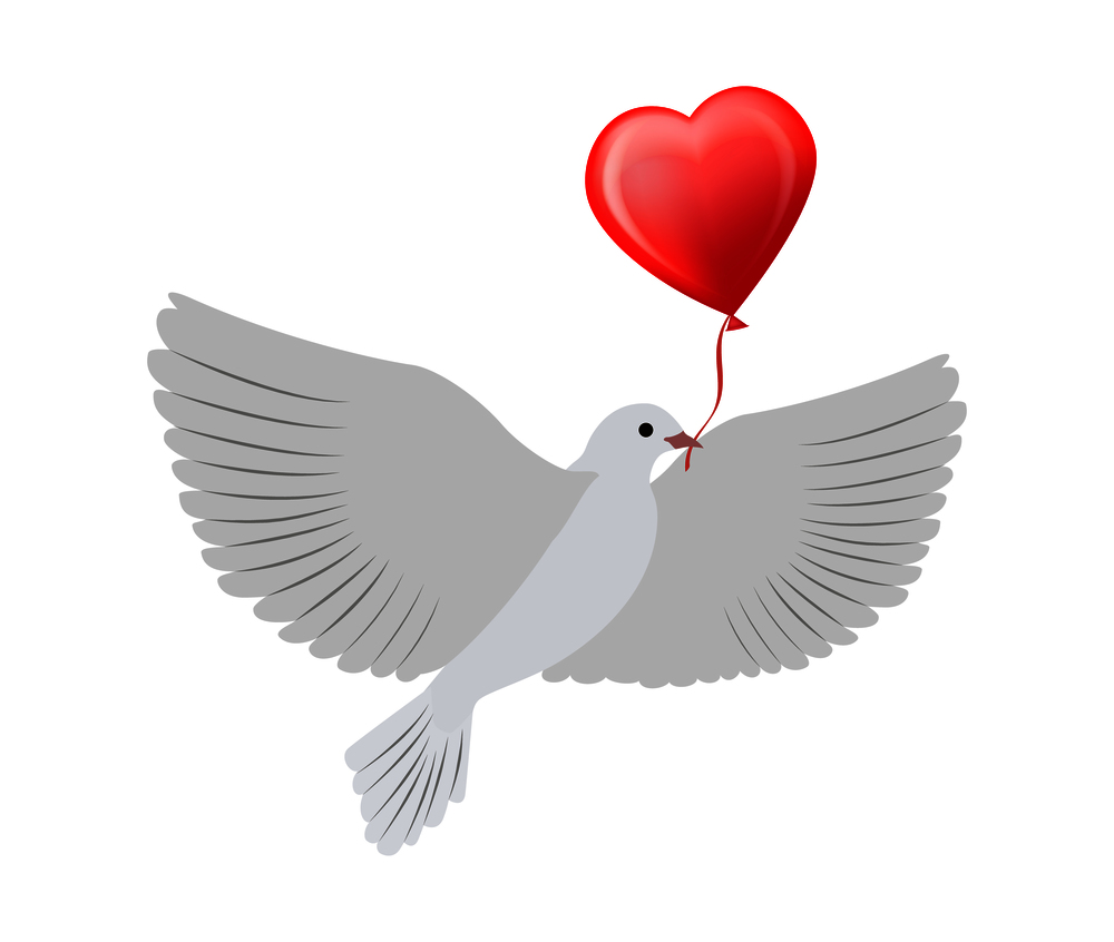Dove flying with balloon of heart shape, symbol of eternal and pure love, lasting forever, Valentines day poster, isolated on vector illustration. Dove Flying with Heart Balloon Vector Illustration
