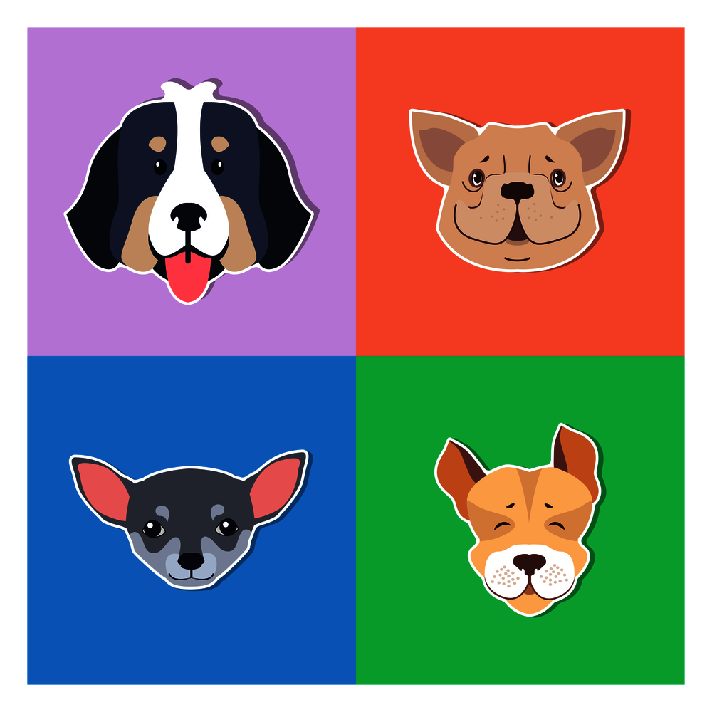 Four canine heads of pedigreed dogs set on colored background. Vector illustration of heavy Bernese Mountain Dog, smiling French Bulldog, small face of Chihuahua and funny Jack Russell Terrier. Four Canine Heads of Pedigreed Dogs Doggie Concept