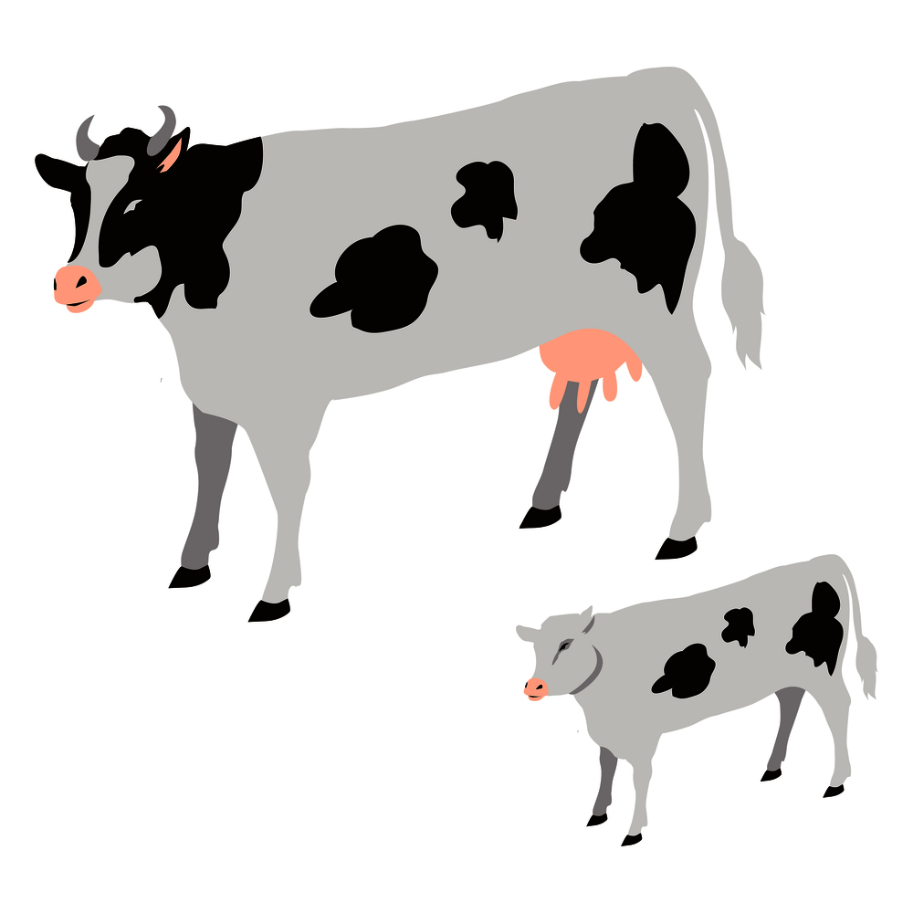 Cow and calf with black spots isolated vector illustration on white background. Big domestic animals that give milk and meat for people. Cow and Calf with Black Spots Isolated Vector