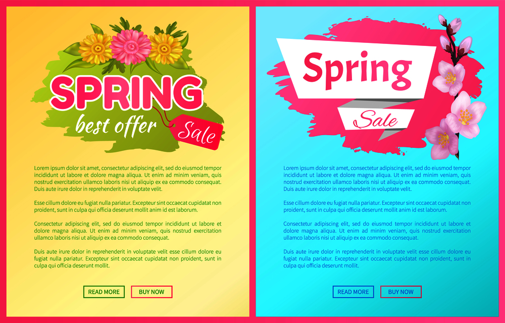 Spring sale advertisement label with branch of sakura or cherry blooming flowers, daisy buds vector web posters set. Pink blossoms symbol of springtime. Spring Sale Advertisement Label Branch of Sakura