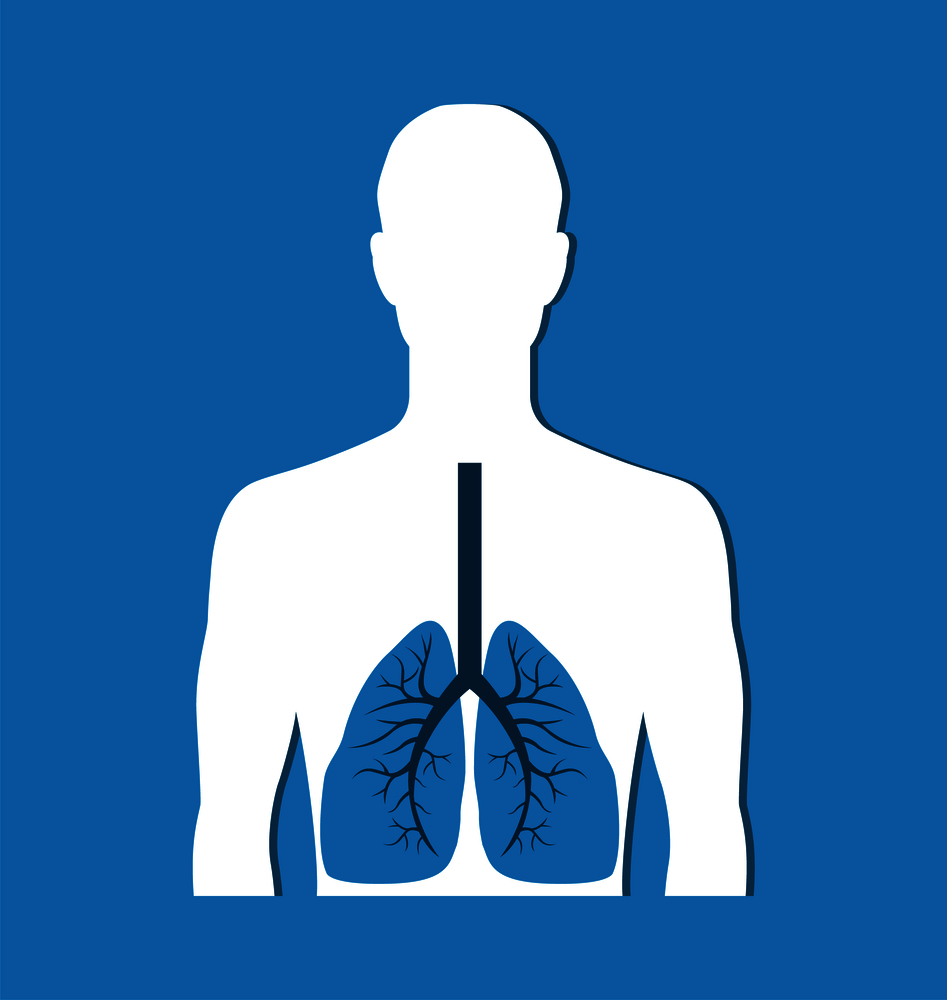 Human lungs banner isolated on blue. Vector illustration of organs situated within the rib cage, consisting of elastic sacs with branching passages. Human Lungs Banner Isolated on Blue. Vector Icon