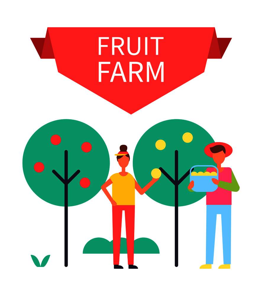 Fruit farm poster with harvesting people gathering ripe products from trees. Man with bucket and woman holding apple in hands farming persons vector. Fruit Farm Poster Harvesting Vector Illustration