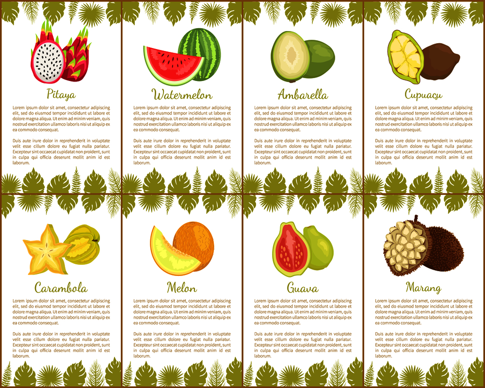 Pitaya and watermelon fruits set of posters with text sample vector. Carambola and melon guava and marang, nutritious lush slices of exotic products. Pitaya and Watermelon Melon Marang Fruits Vector