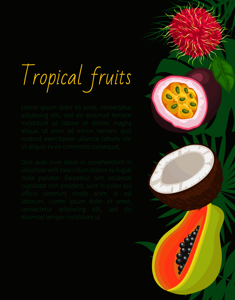 Tropical fruits banner exotic food and leaves. Rambutan, passion fruit and coconut, ripe papaya vector illustration with text sample, brochure design. Tropical Fruits Banner with Exotic Food and Leaves