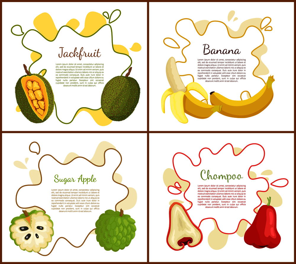 Jackfruit and sugar apple, ripe yellow banana and chompoo, posters set with text sample on blot. Natural fresh tropical fruit, exotic meal vector. Jackfruit and Sugar Apple Set Vector Illustration