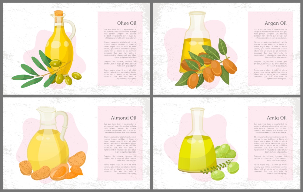 Collection of amla and olive, almond and argan oils for hair care and treatment. Haircare using organic and natural ingredients. Bottles and green branches. Posters set with text sample vector. Almond and Amla, Olive and Argan Oils Hair Care