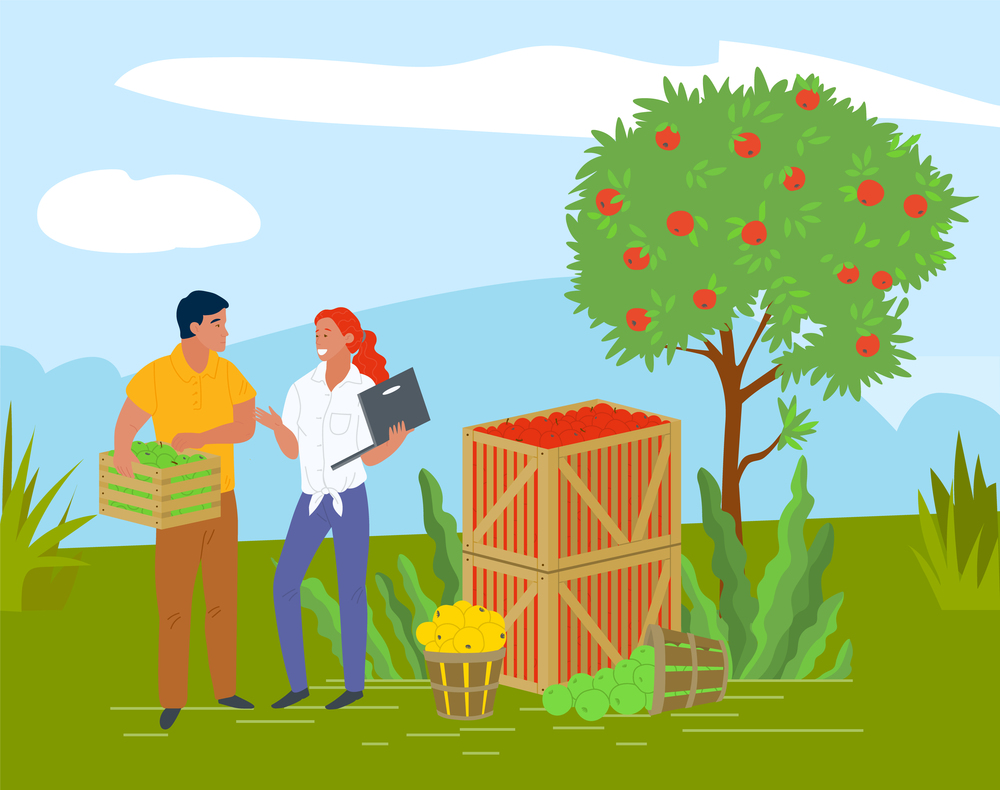 Smiling people selling apples, local product. Harvesting and picking apples in wooden containers, green trees, rustic product, business and laptop vector. Pick apples concept. Flat cartoon. Picking Apples in Container, Local Fruit Vector