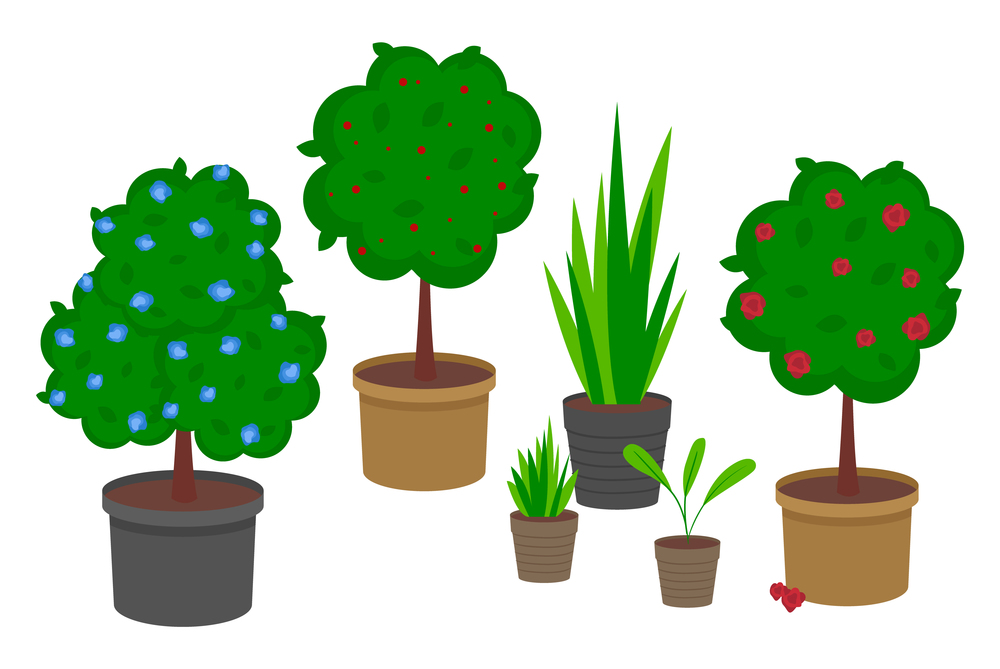 Set of pot plants with flowers and leaves. Group of trees and bushes in containers isolated on white. Home bush plant in pot and garden plants. Set of indoor home plant and tree with blue, red flowers. Set of pot plants with flowers and leaves. Group of trees and bushes in containers isolated on white
