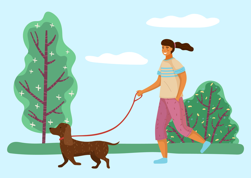 Walk with dog in the park. Girl is going with a doggy in garden sunny day. A happy pet dachshund running with the owner against the backdrop of a summer landscape with a green plant and a blue sky. Girl is going with a doggy in garden sunny day. A happy pet dachshund running with the owner