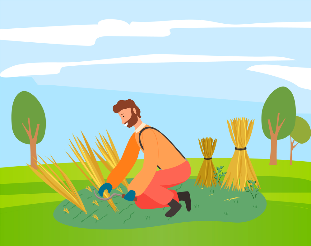 A man mower with a scythe cuts grain crop and binds in sheaf. Farmer wearing in overalls harvesting ears of wheat on the field. Agricultural worker, autumn harvest. Ecological farming and manual labor. Farmer wearing in overalls harvesting ears of wheat on the field. Agriculture, autumn harvest