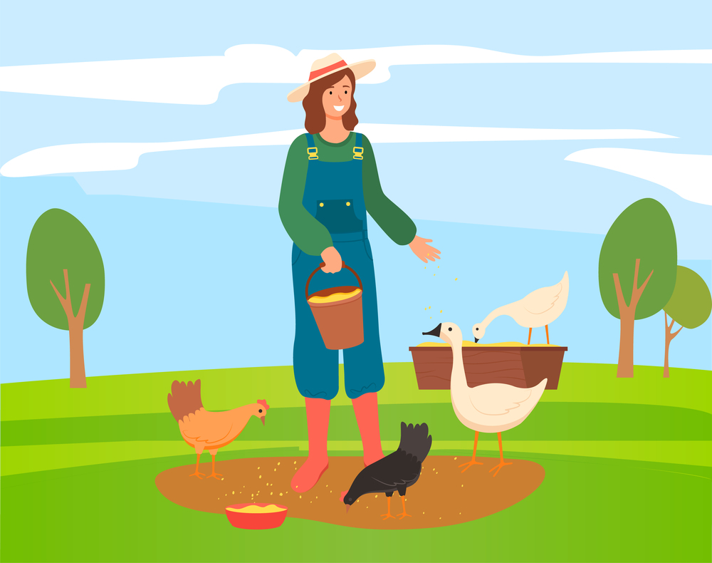 Young woman or girl farmer in hat and overalls feeds poultry grain. Girl takes care of chickens, geese. Woman nourishes hens and geese. Female stands on green meadow with poultry. Flat image. Woman farmer in overalls stands on green lawn and feeds poultry with grain. Trees on background