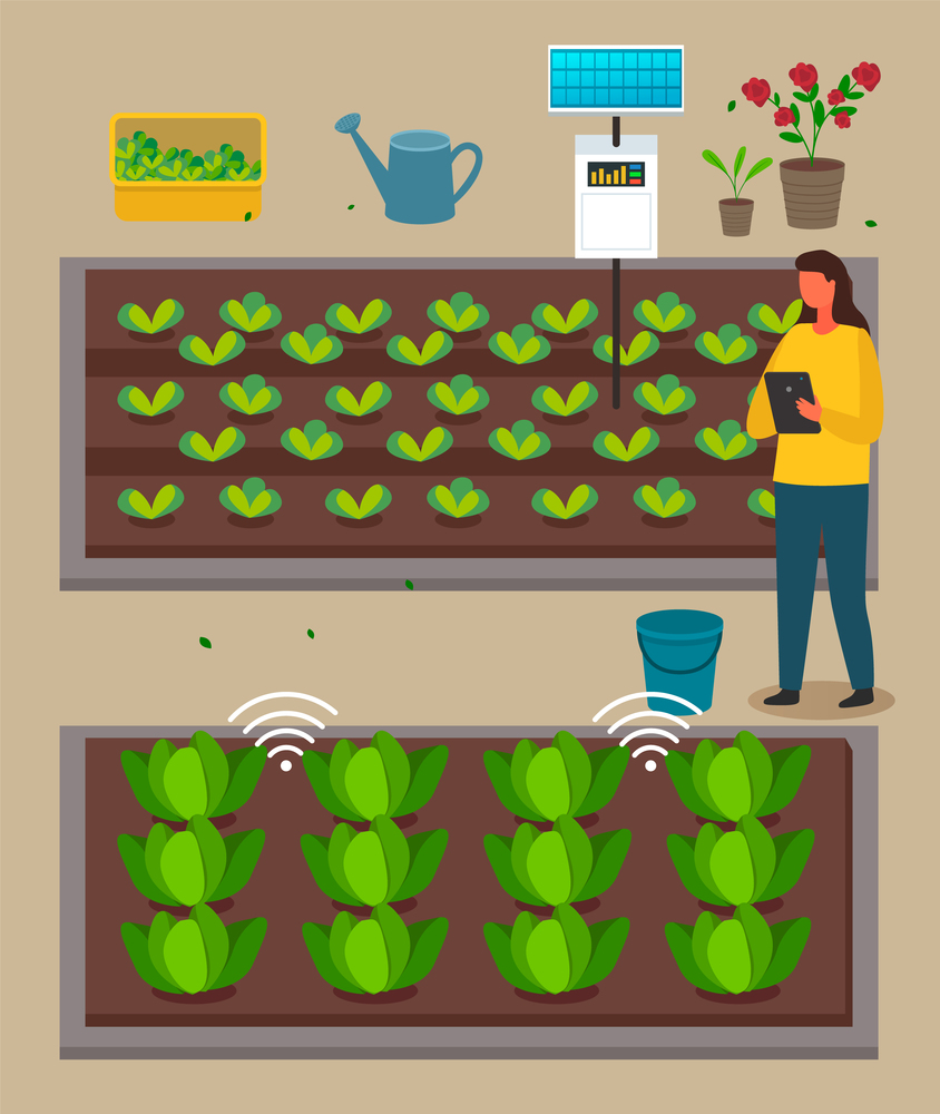 Urban agriculture, farmer woman using modern technology, distance control of growing process with digital tablet, developing farm infrastructure, grower control process of farming, growing eco plants. Urban agriculture, farmer woman using modern technology, distance control of growing process